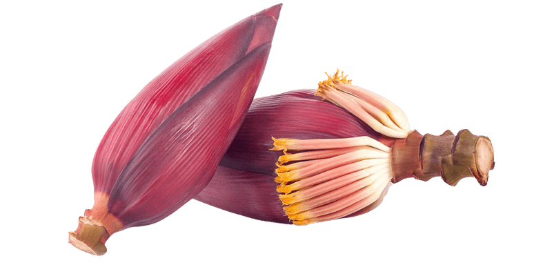 Banana Flower