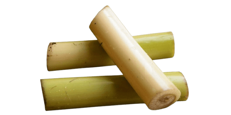 Banana Stem