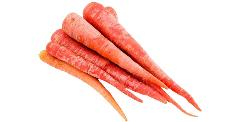 Red Carrot
